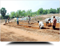 Field Work