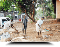 Wood Cutting
