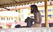 New Inmate to Amara Gents Vishwasada Mane